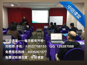 成都信息系统项目管理师备考全攻略 从报名到网络与信息安全软件开发的实践指导
